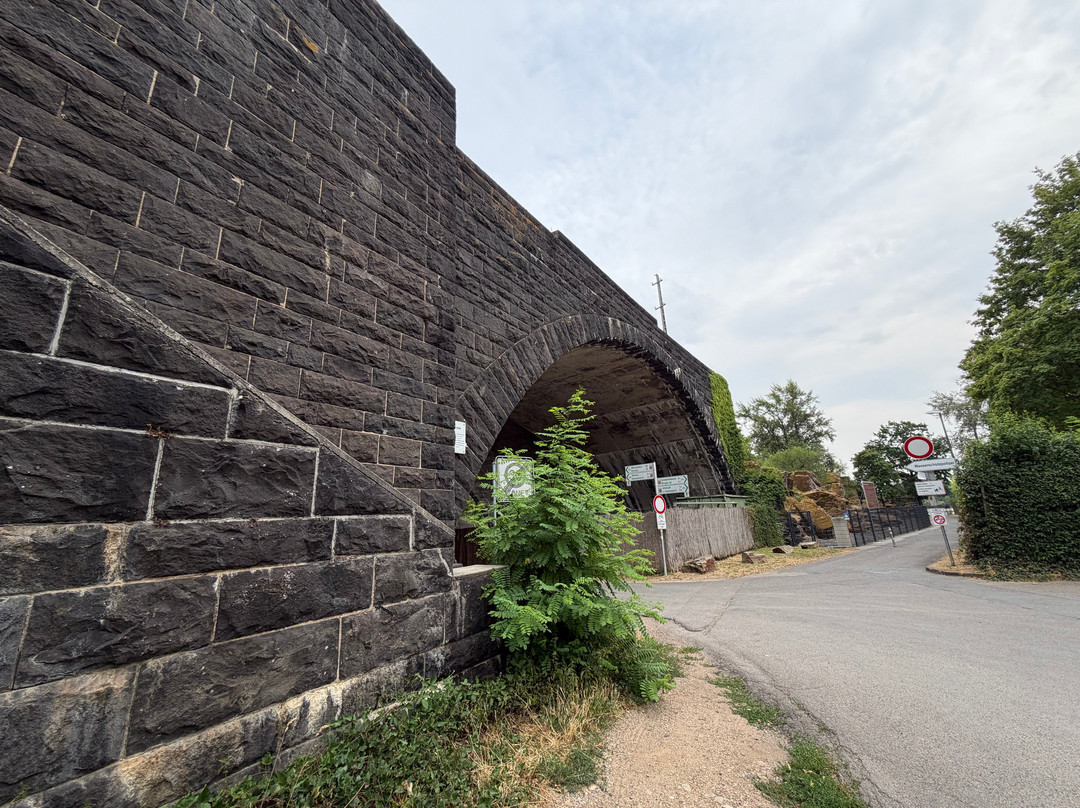 Hindenburg Bridge-莱茵河畔宾根必去景点