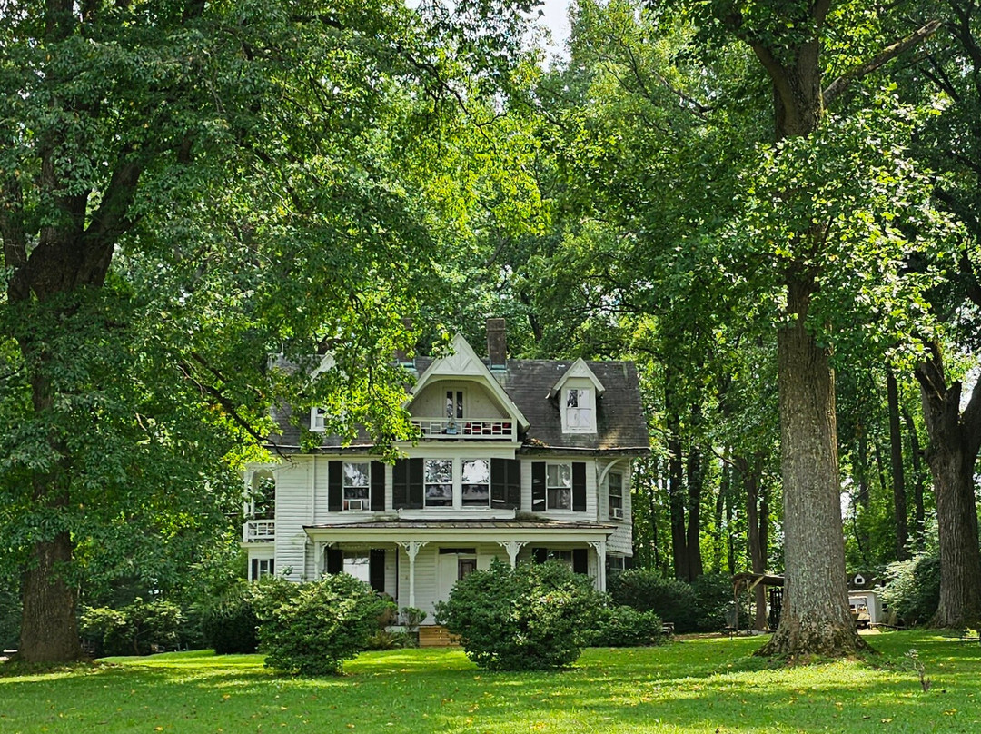 Dibb House