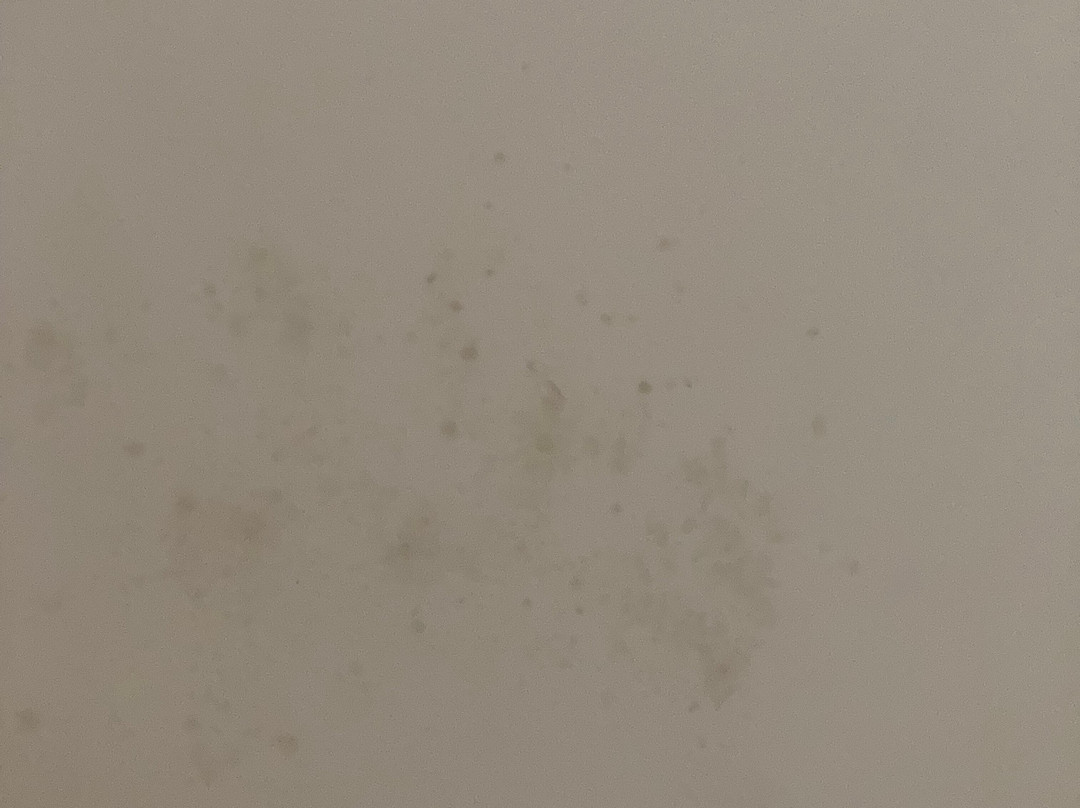 科马鲁贾普提加岬酒店主图