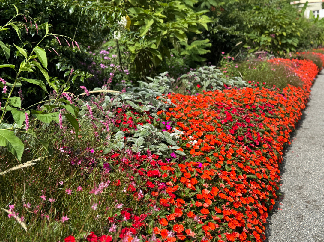 Isle of Mainau-康士坦茨必去景点