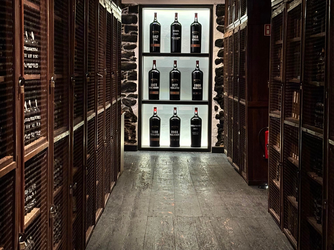 Blandy's Wine Lodge-沙尔必去景点