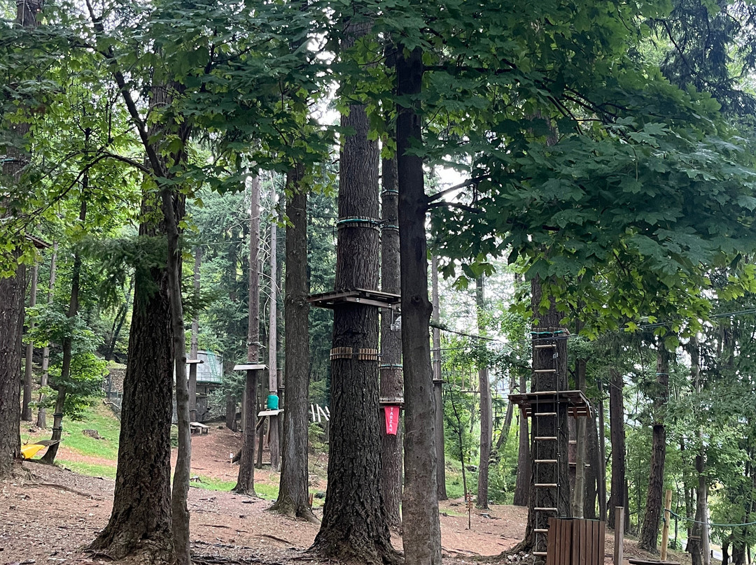 Jungle Raider Park-Albavilla必去景点