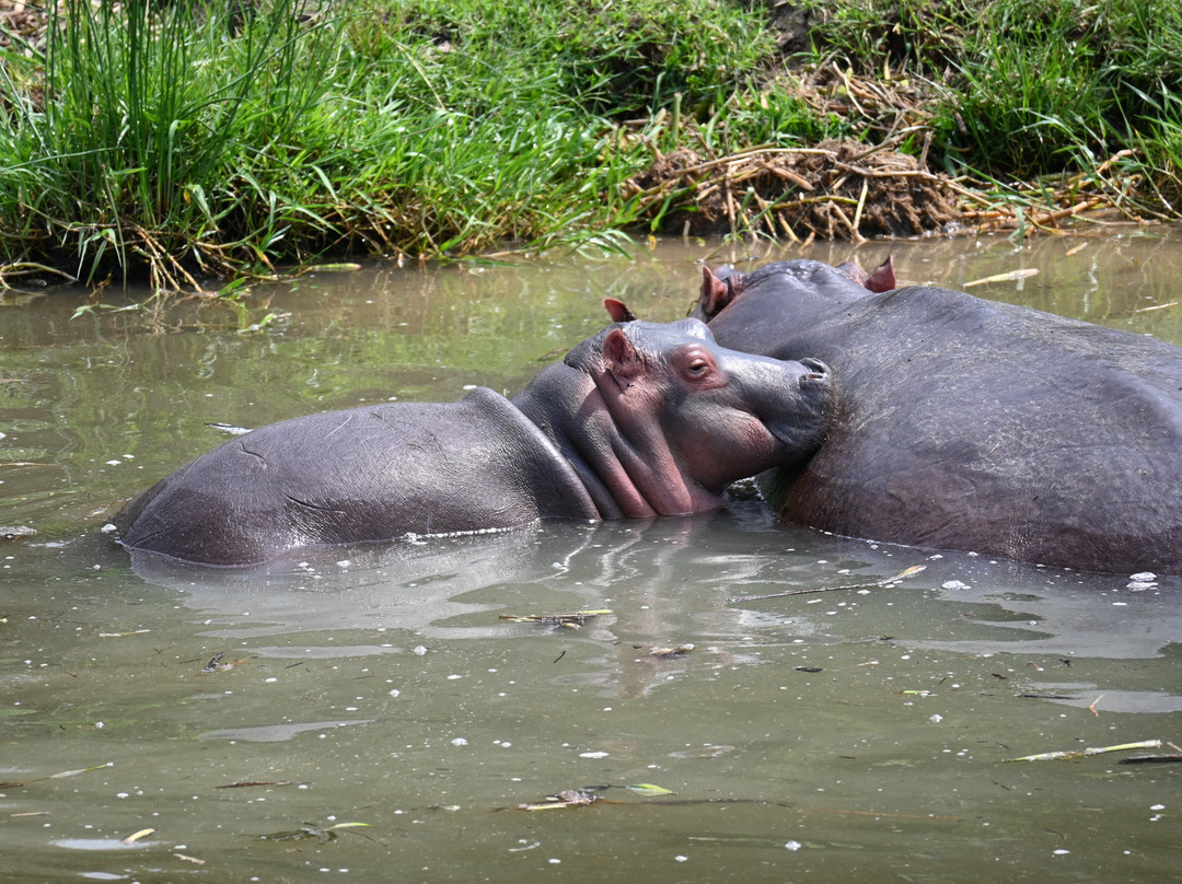 Rwizi Africa Expeditions-坎帕拉必去景点