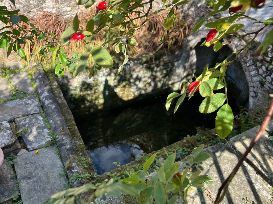 St. Withburga's Well-Dereham必去景点