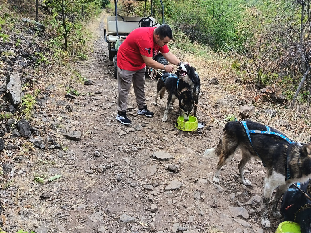 Dog sled tour  Mátrafüred-马特劳菲赖德必去景点