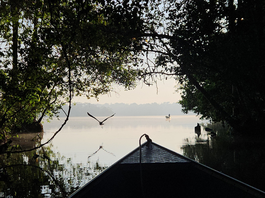 Tambopata Wild-Tambopata National Reserve必去景点