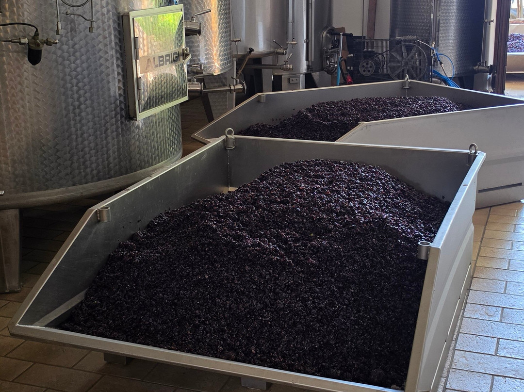 Azienda Agricola Capanna di Cencioni-蒙塔尔奇诺必去景点