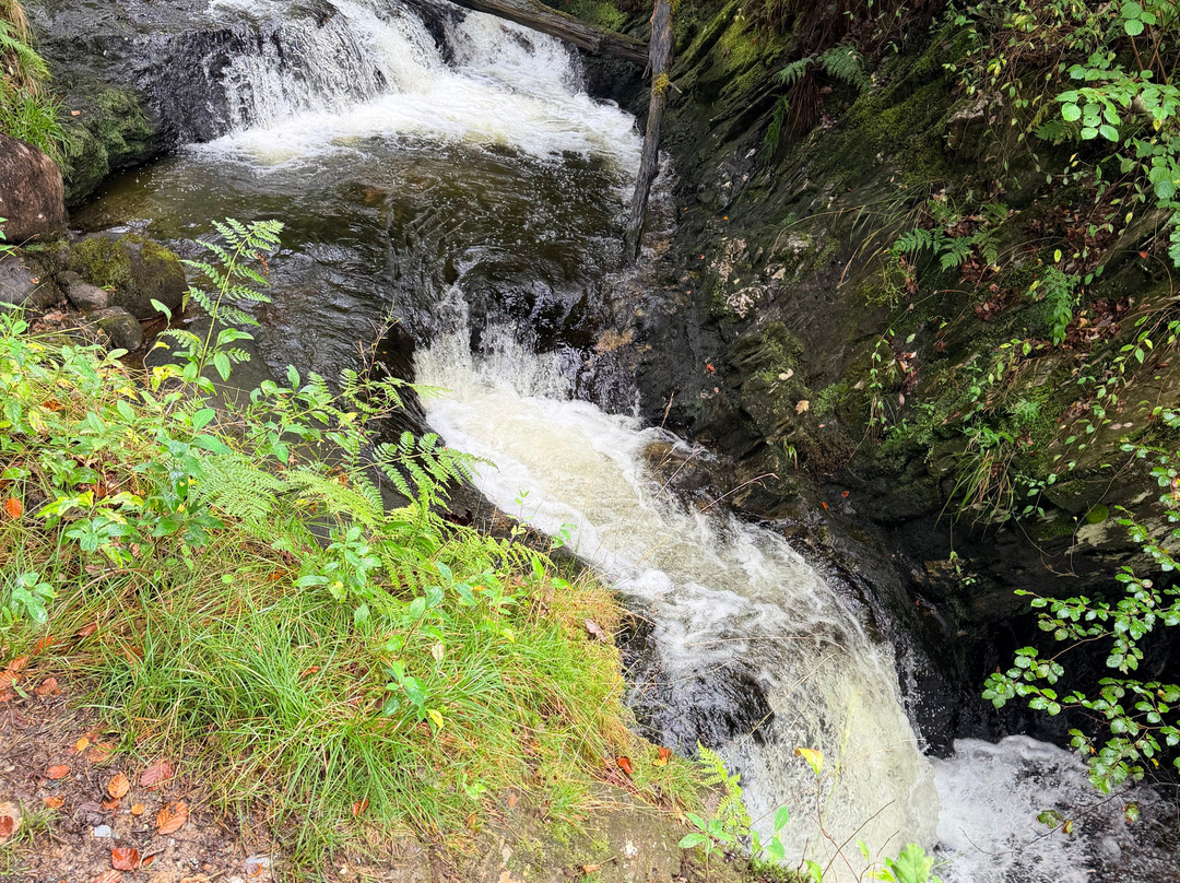 Fairy Bridge At Glen Creran-Appin必去景点