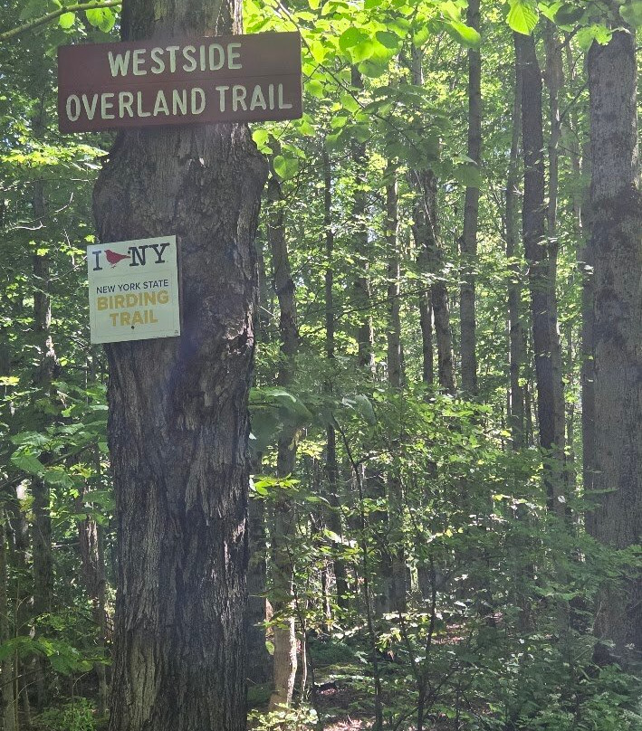 Chautauqua Gorge State Forest-Mayville必去景点
