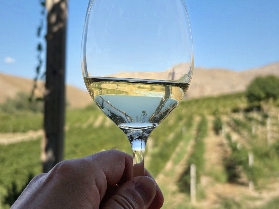 Momik Wines-Areni必去景点
