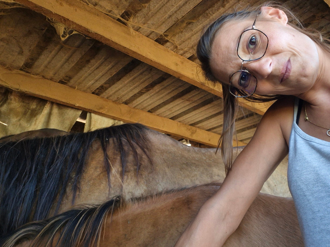 Les Animaux De Fairytale