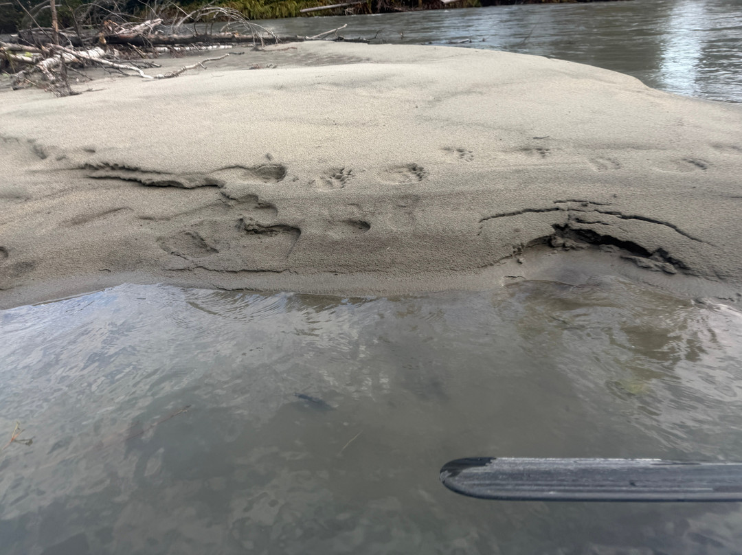 Talkeetna River Guides - Day Trips-塔尔基特纳必去景点