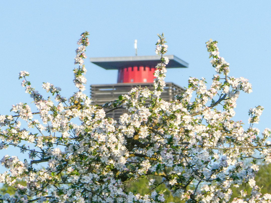 Napoleonturm Hohenrain-Waldi必去景点