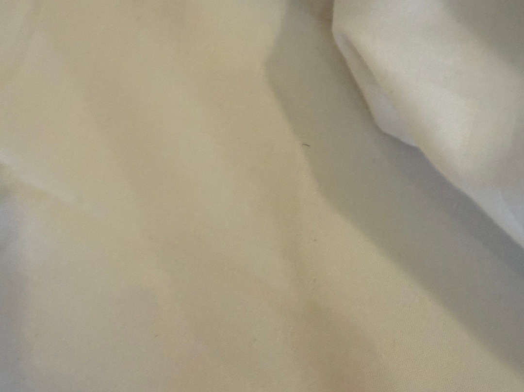 斯堪迪克宫根斯科尔瓦酒店主图
