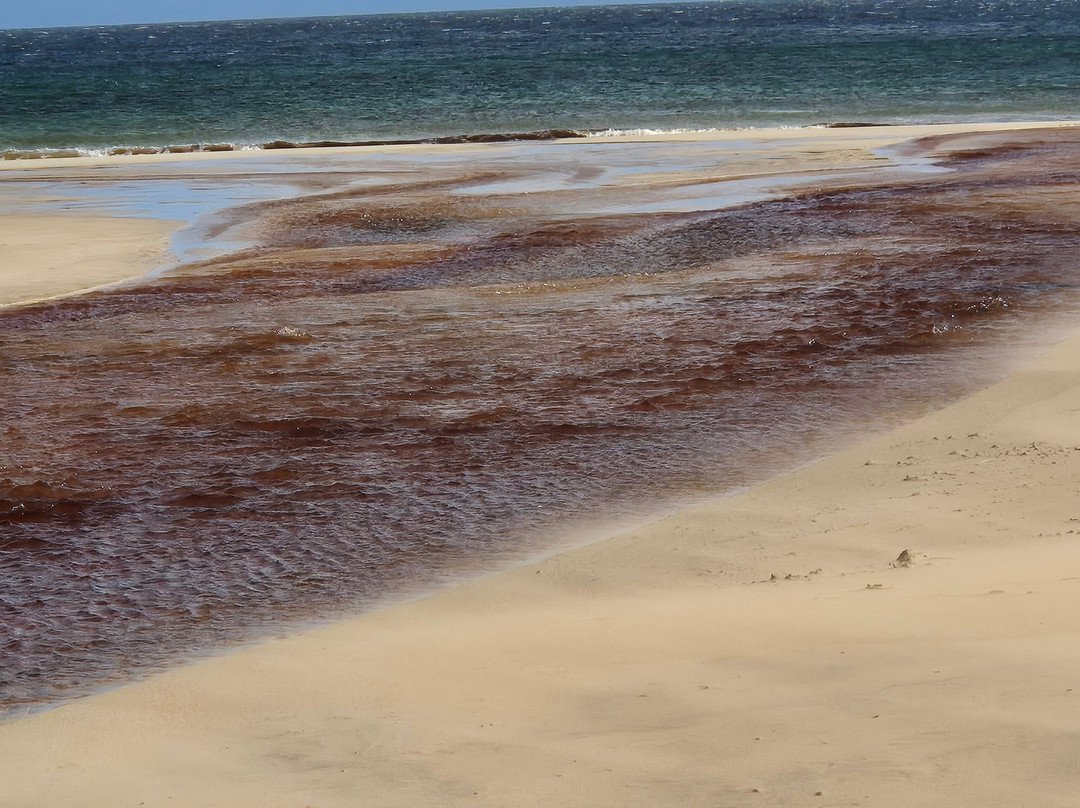Traigh Ghearadha - Gary Beach-Isle of Lewis必去景点