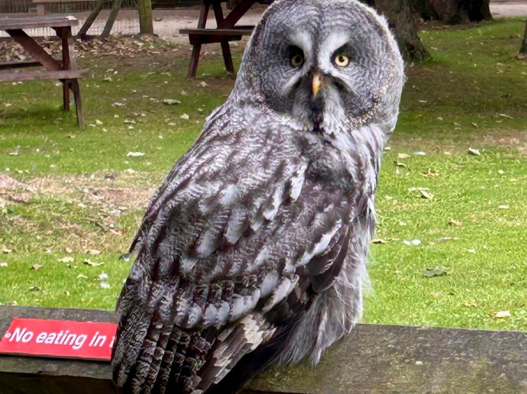 Bridlington Animal Park-布里德灵顿必去景点