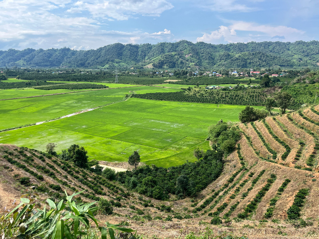 Dalat Discovery Travel-大勒必去景点