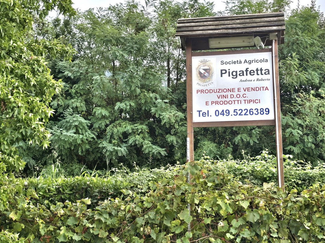 Azienda Agricola Pigafetta Guido e Figli-Rovolon必去景点