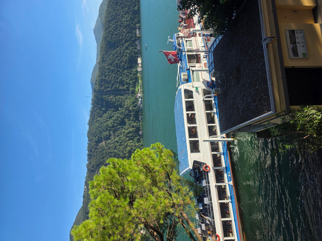 阿尔巴特洛住宿加早餐旅馆主图