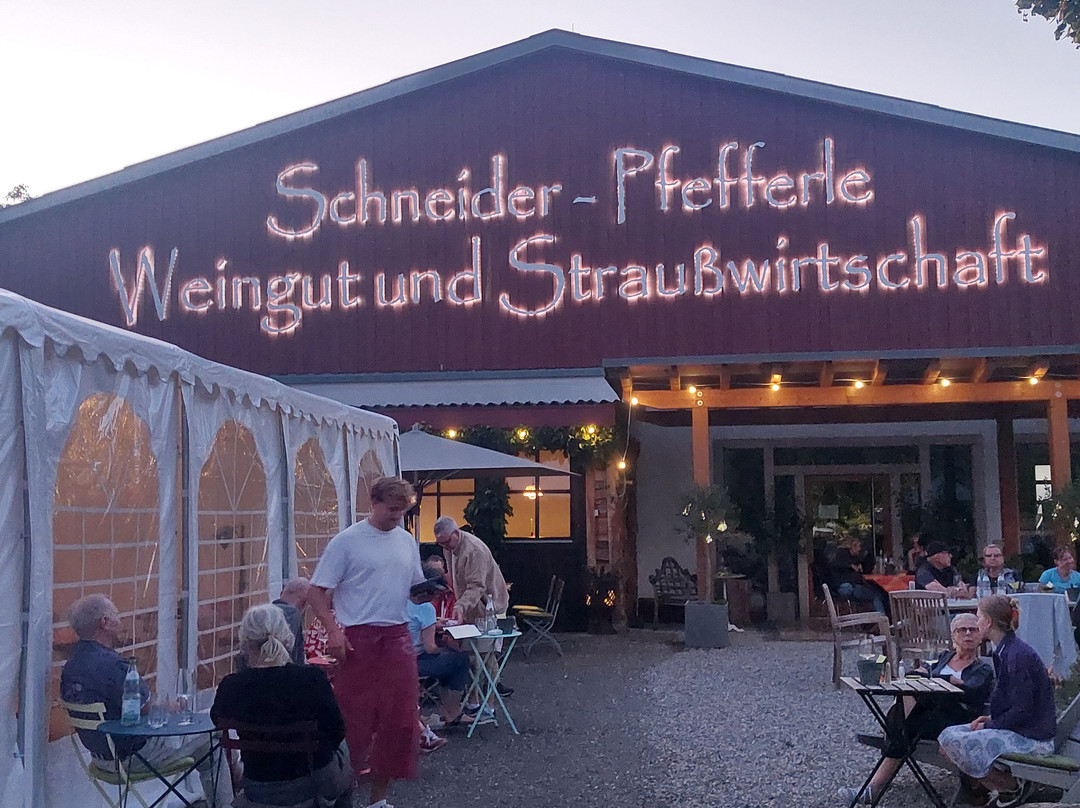 Schneiders Straussi