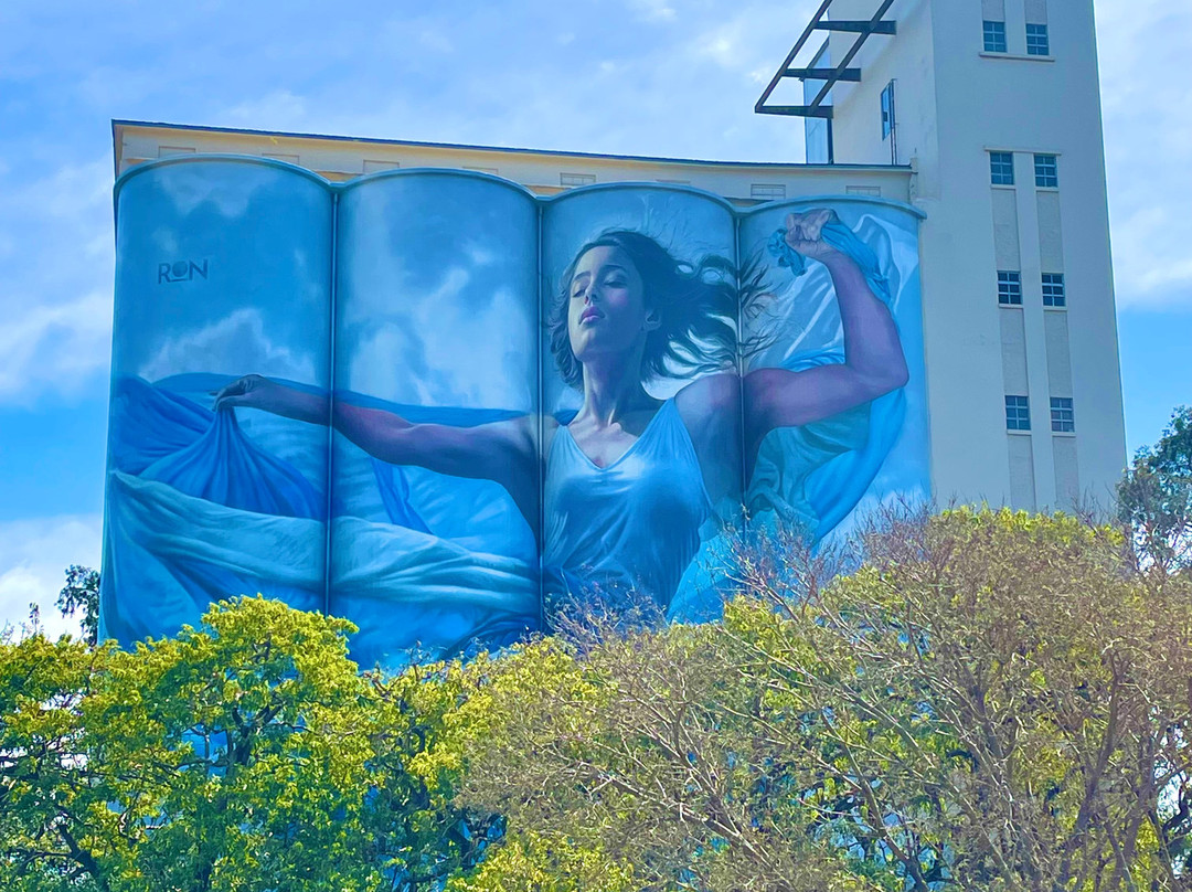 Silos Davis museo de arte contemporaneo-罗莎里奥必去景点