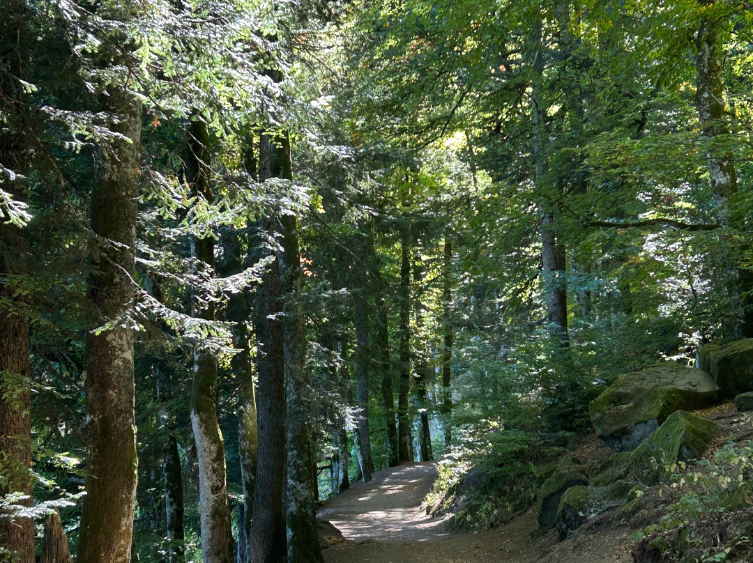 Lac Pavin-Besse-et-Saint-Anastaise必去景点