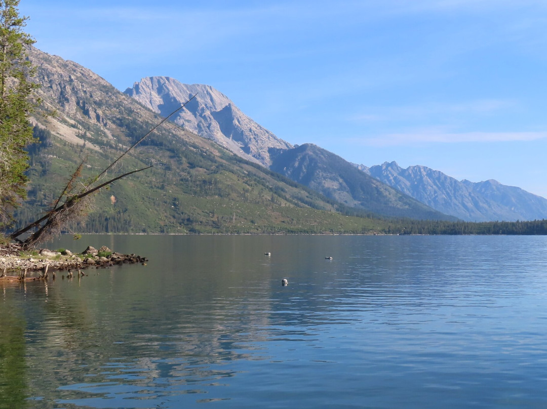 Jenny Lake Boating-穆斯必去景点