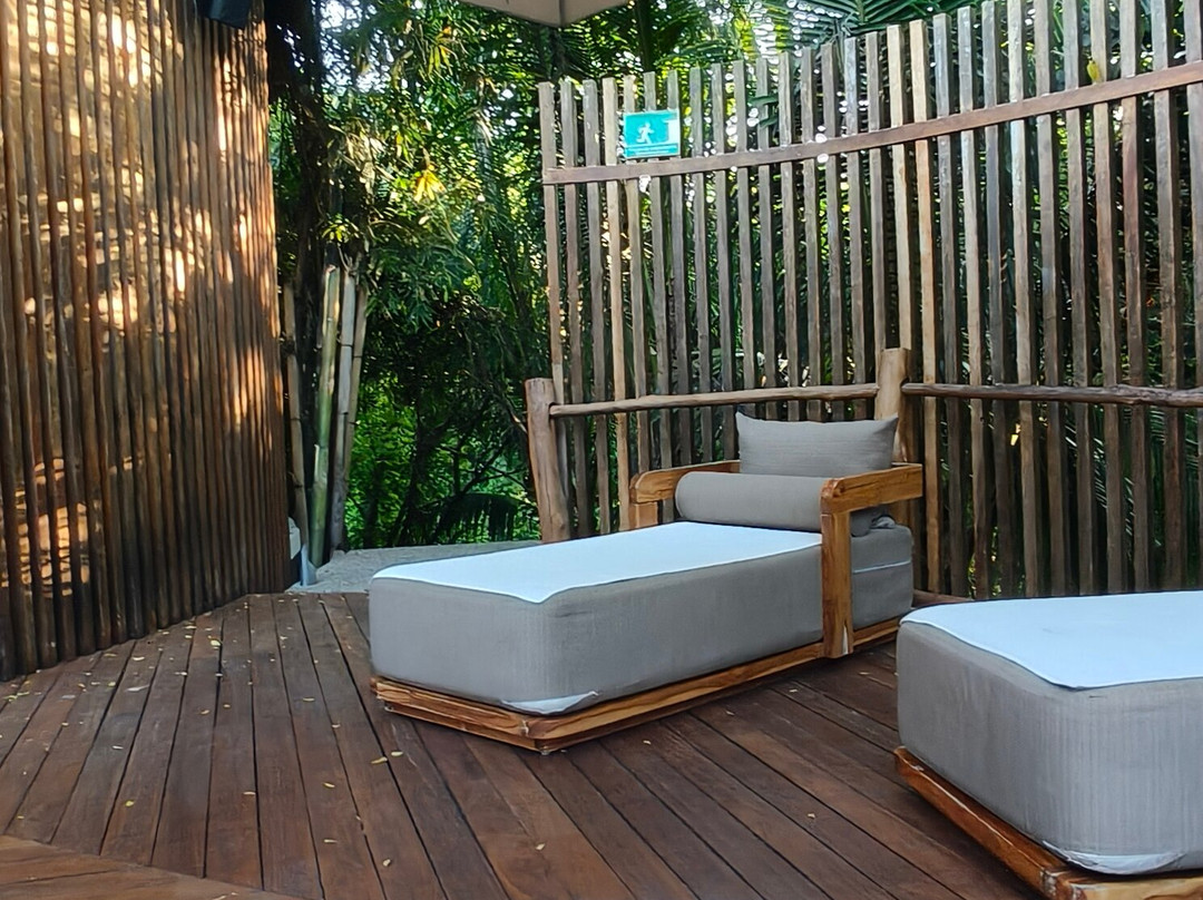 The Estates at Vidanta Nuevo Nayarit主图