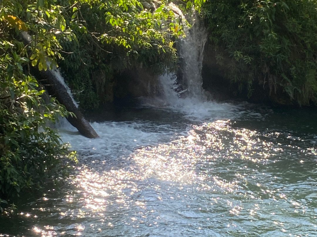 Parque das Cachoeiras-博尼图必去景点
