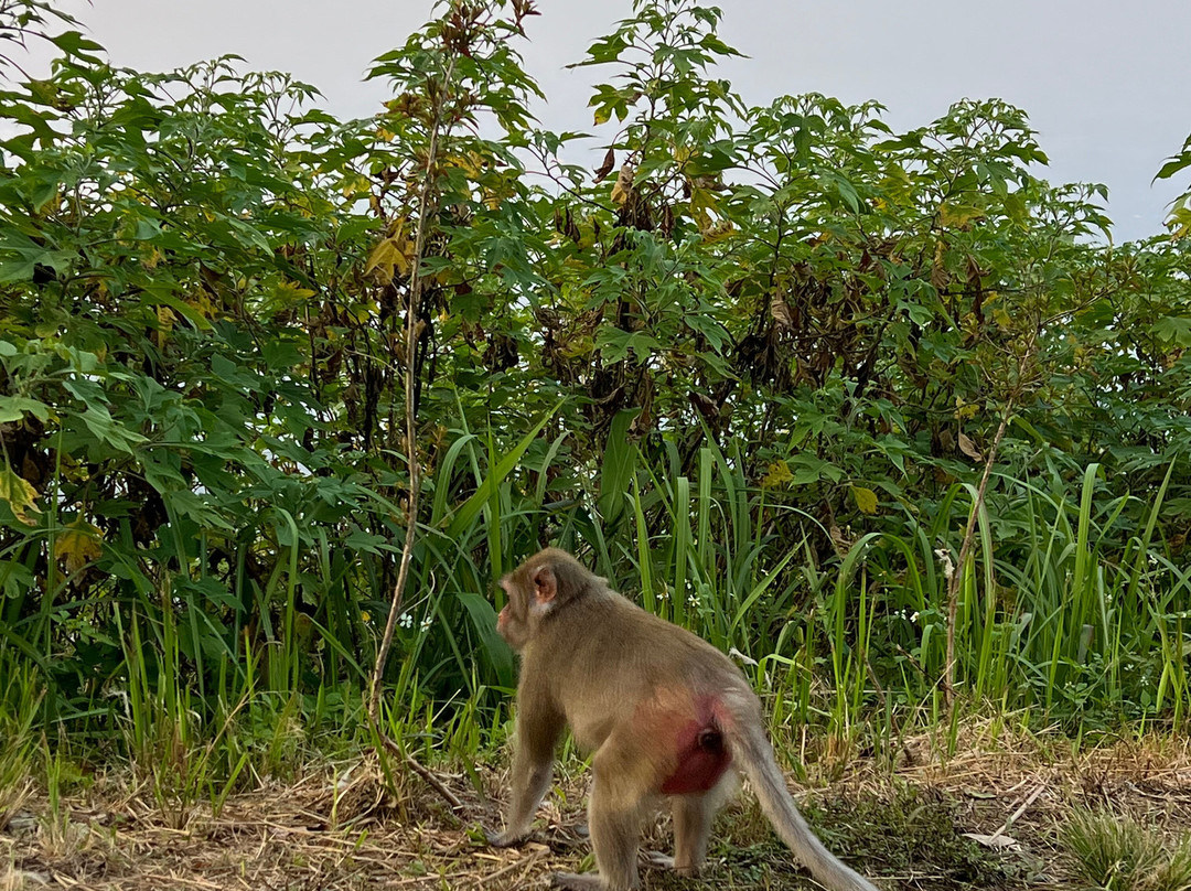 巴位山美利亚度假酒店主图