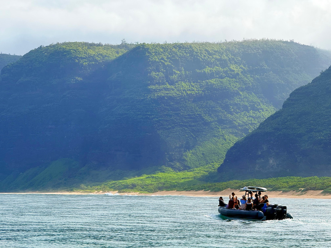 Kauai Sea Tours-埃里埃利必去景点