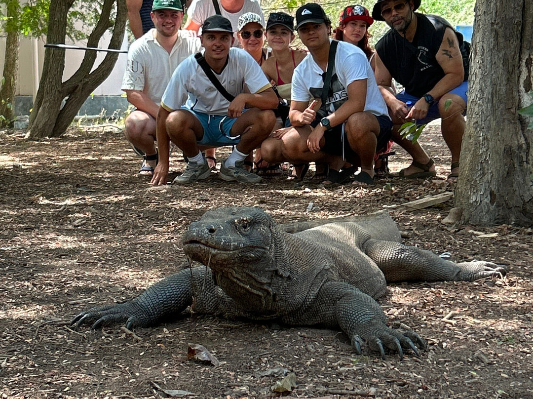 Komodo Island-科莫多国家公园必去景点