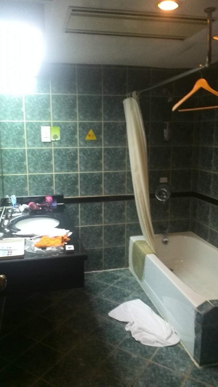 德宝花园大酒店-客卧