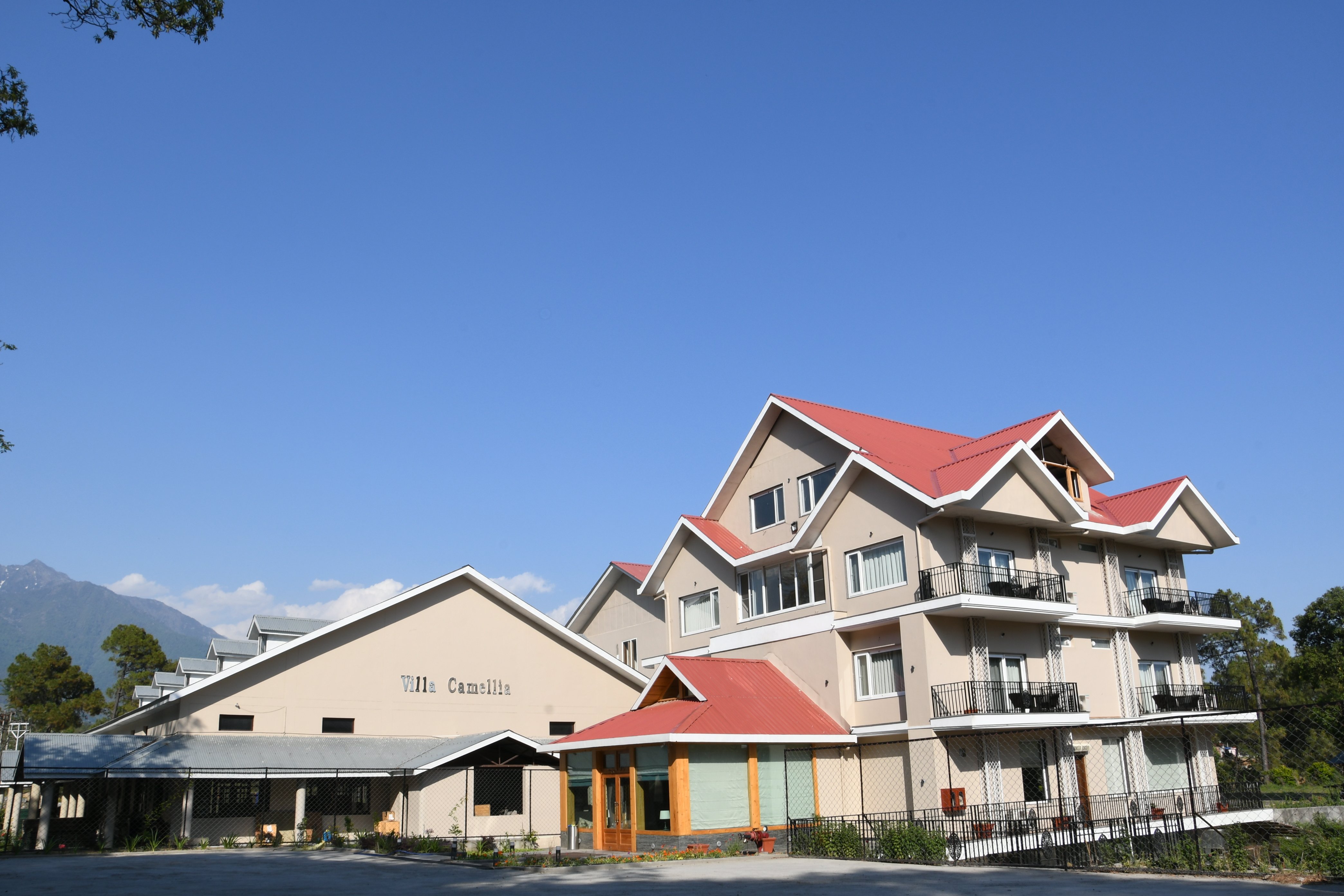 Mastiff Villa Camellia-官方