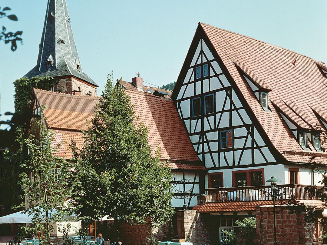 Hirschhorn (Neckar)旅游攻略图片