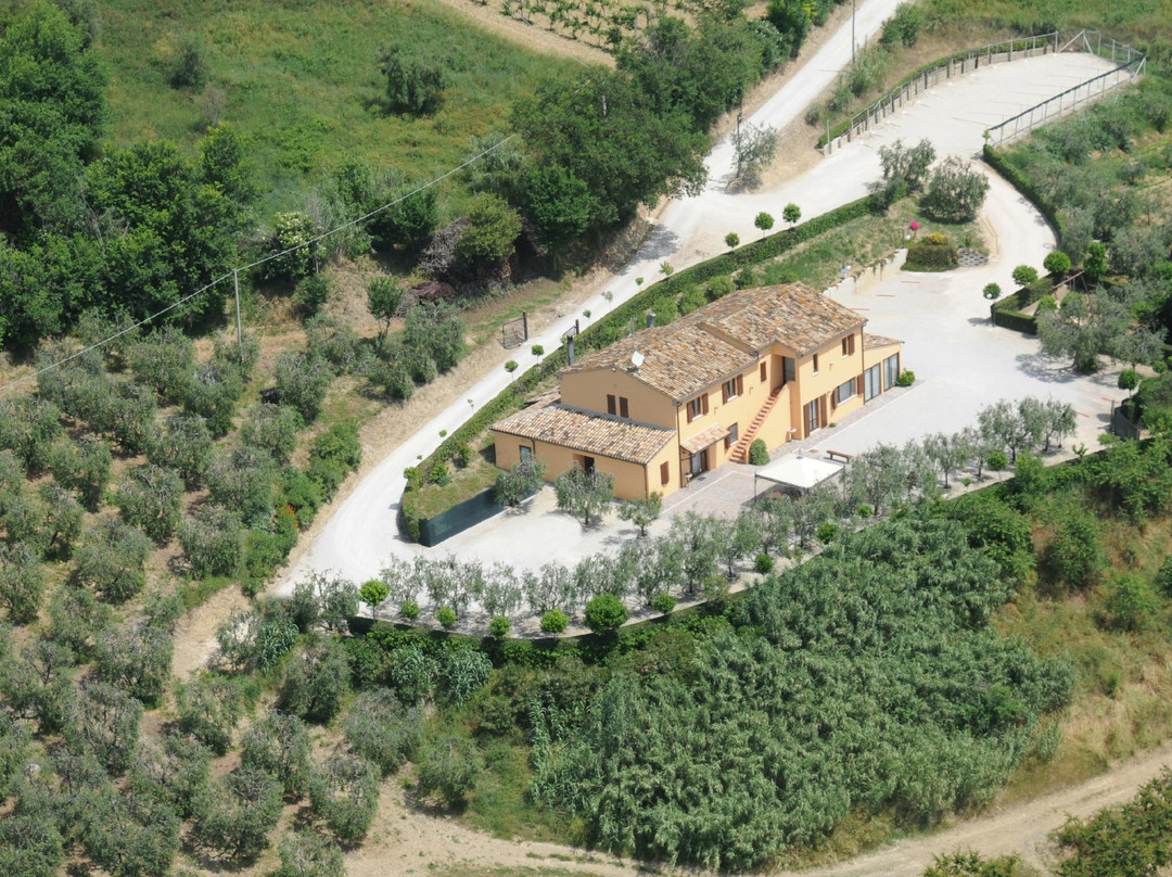 Acquarello