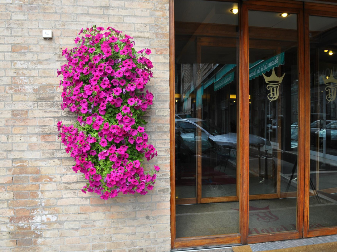 Hotel Igea