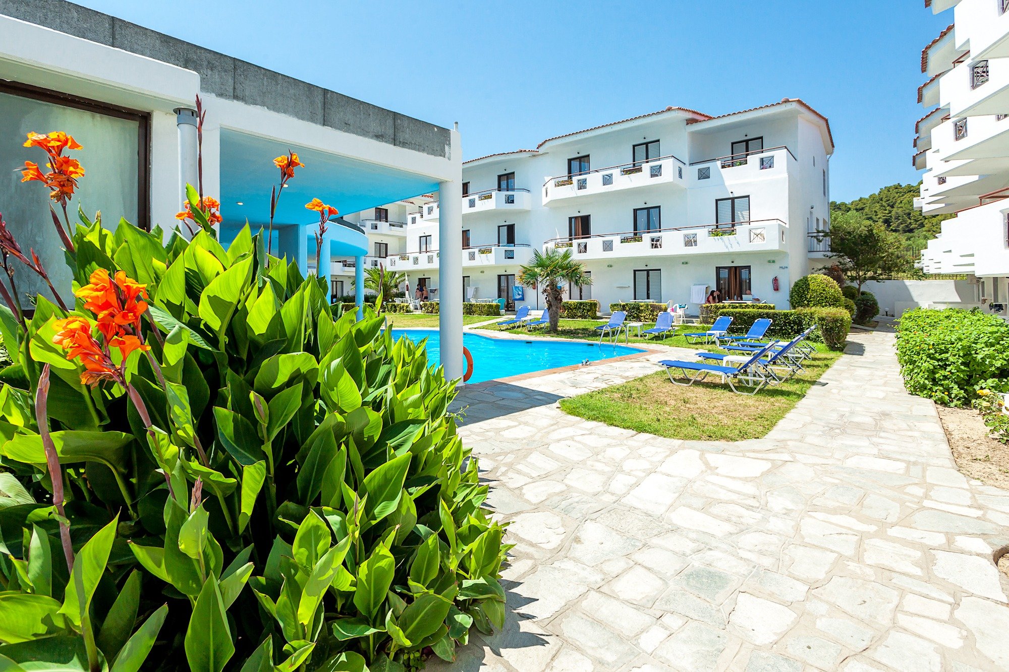Xenios Dolphin Beach Hotel-官方