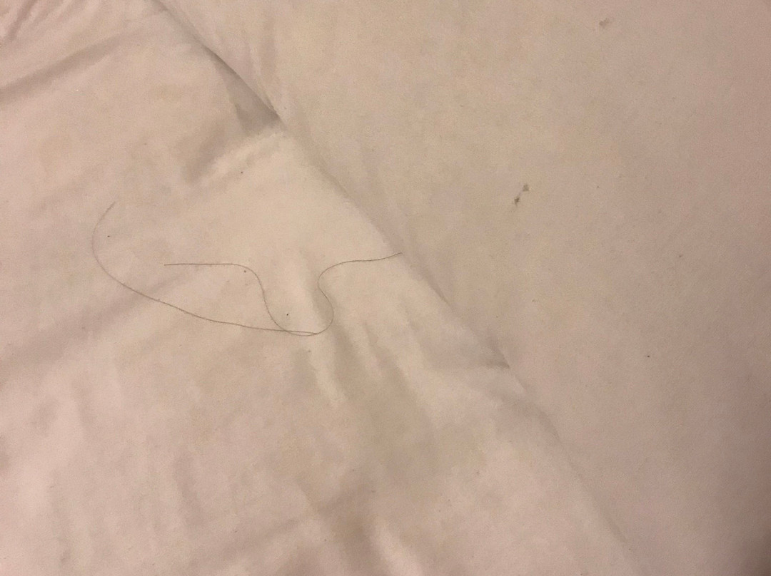 Boston Universal Hotel & Hostel