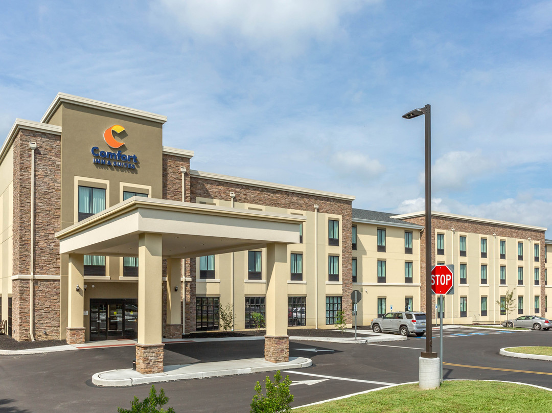 Comfort Inn & Suites主图
