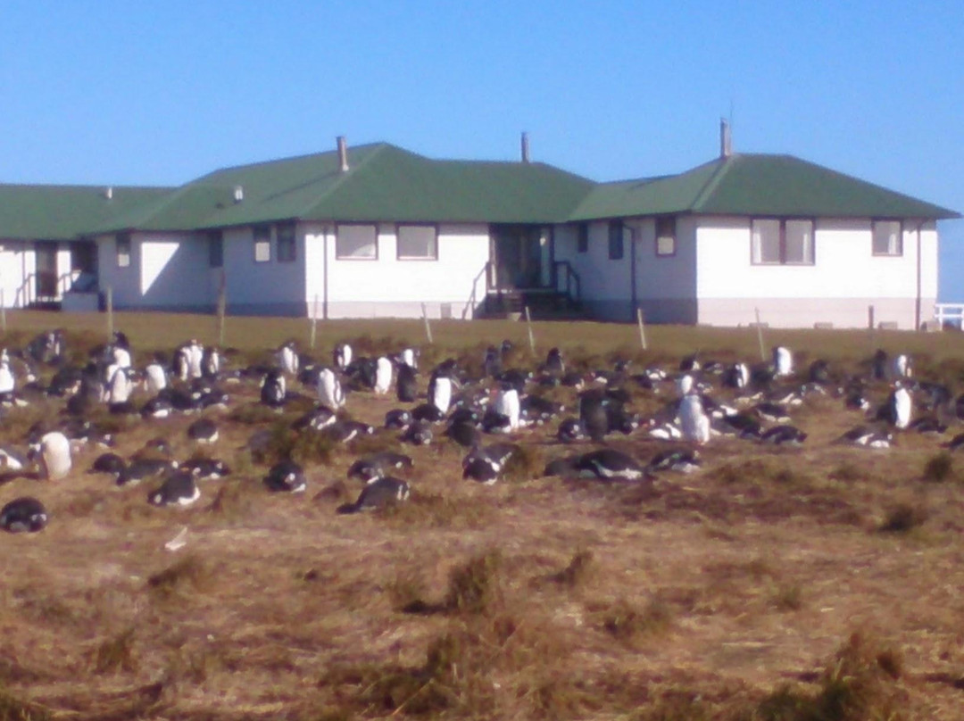 Sea Lion Lodge