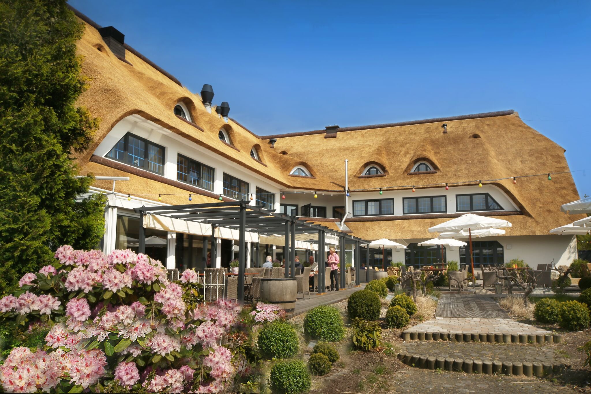 Wittenbeck Resort-官方