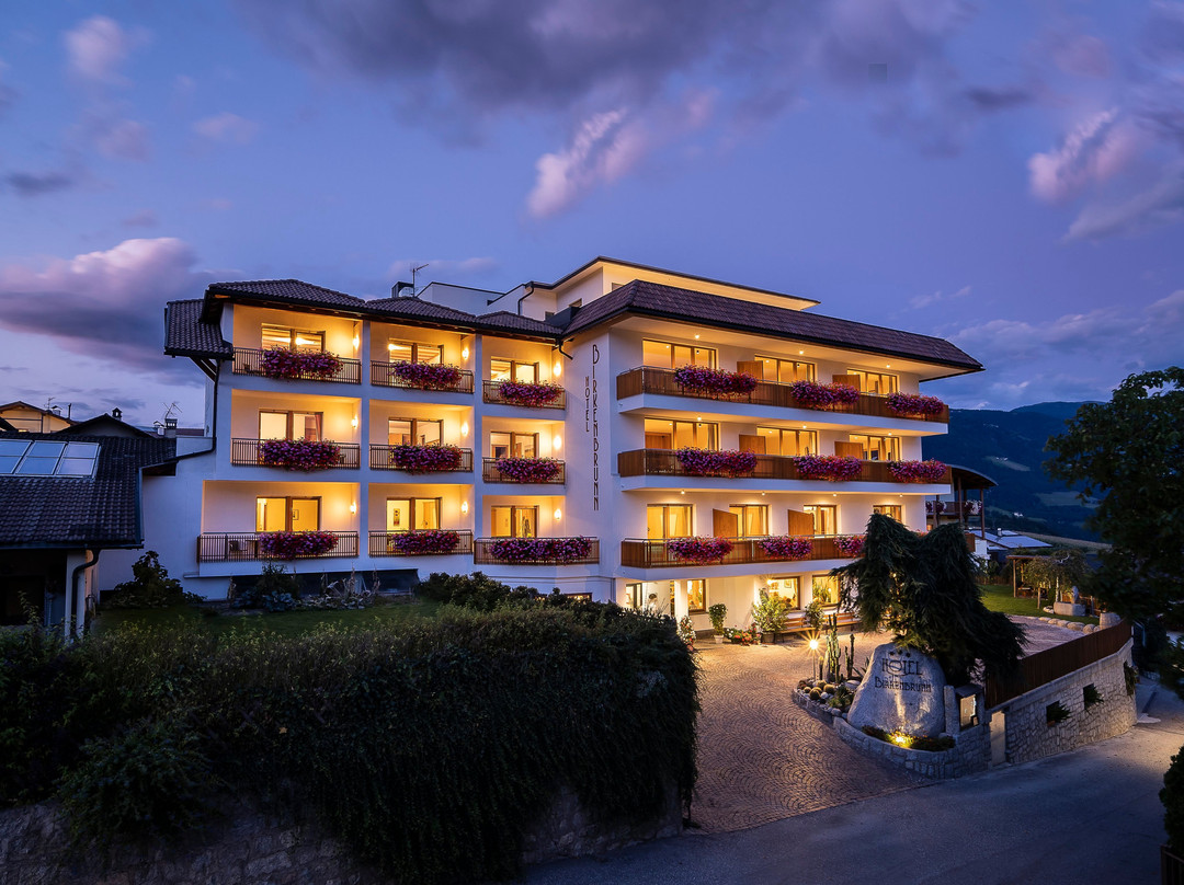 Naz-Sciaves酒店住宿-Hotel Birkenbrunn