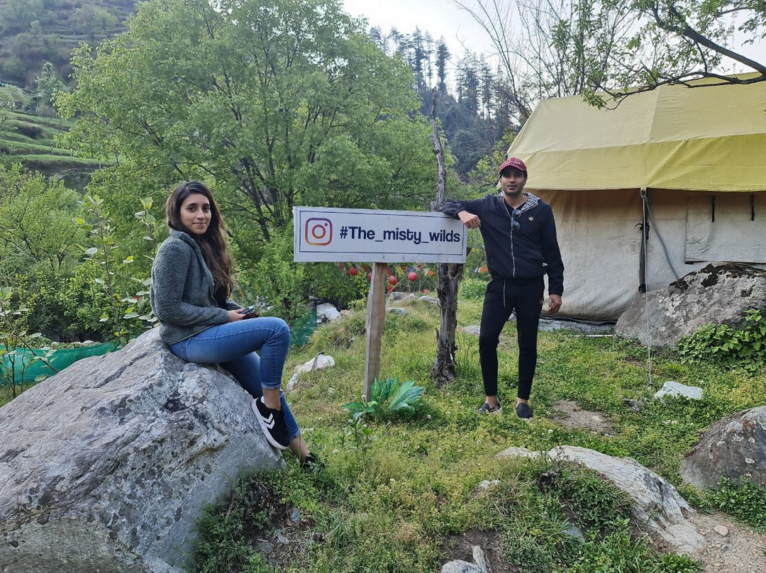 The Misty Wilds Jibhi