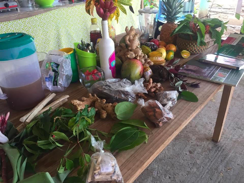 Centro Ashe - Medicinal Plant Education Center景点图片