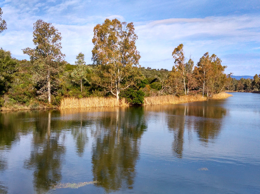 Embalse de Cabezas Rubias-韦尔瓦必去景点