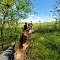 Natchez Trace Stables景点图片