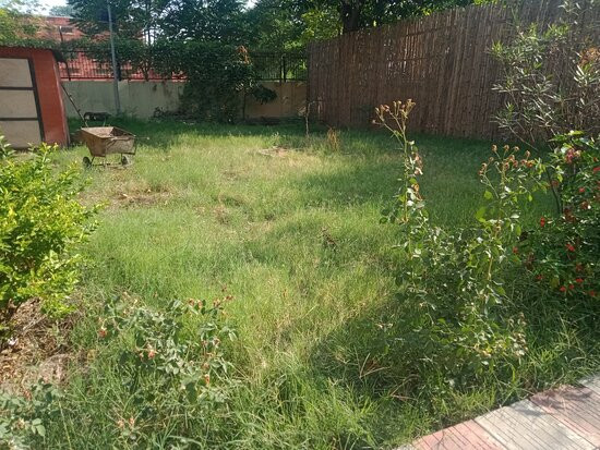 Archaeological Museum-Rupnagar必去景点