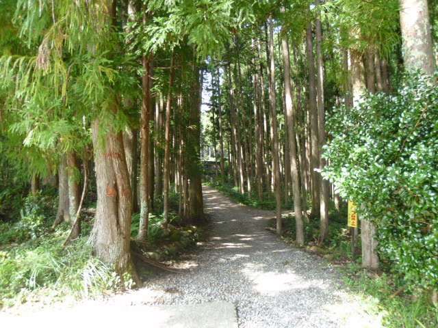 Kumano Kodo Pilgrimage Routes景点图片