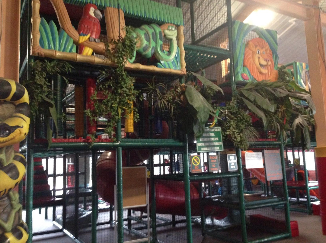 利默里克旅游景点-Jungle wonder Family fun center